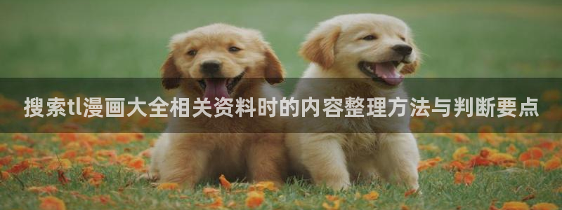 最新漫画：搜索tl漫画大全相关资料时的内容整理方法与判断要点