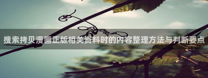 漫画阅读软件:搜索拷贝漫画正版相关资料时的内容整理方法与判断要点